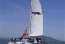 Adventure Cat Sailing Bay Cruise